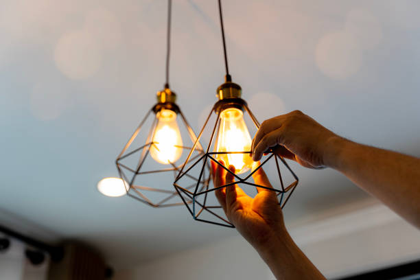 Best Local Electrician Companies  in Columbus, MN