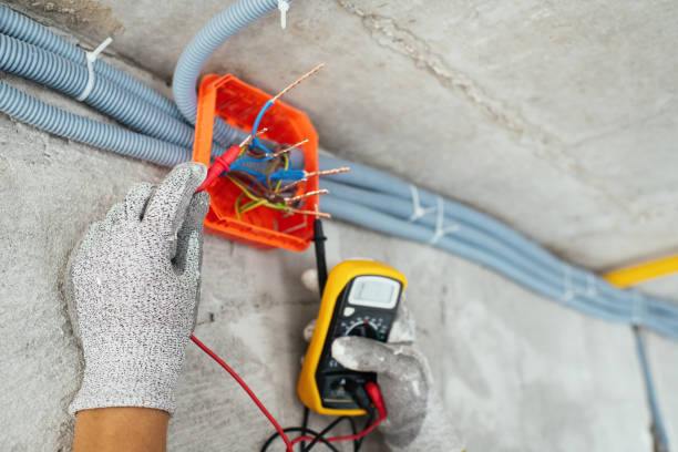 Best Ceiling Fan Installation Electrician  in Columbus, MN