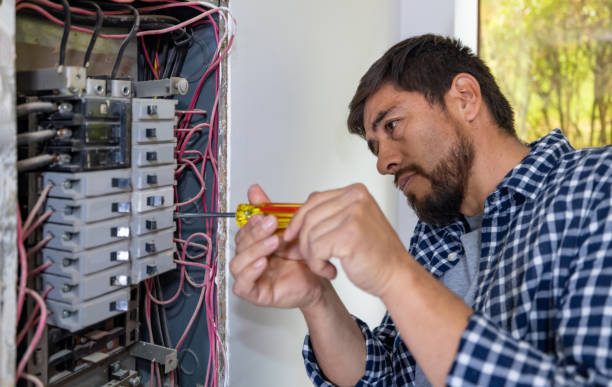 Best Home Electrical Repair  in Columbus, MN